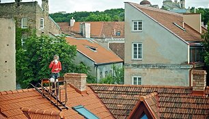 Stalelis kavai ant namo stogo Užupyje