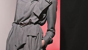 Kolekcijos modelis