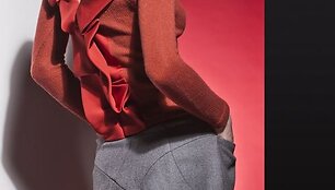 Kolekcijos modelis