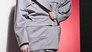 Kolekcijos modelis