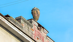 Griūnantis pastato dekoras Lasvės alėjoje