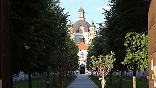 &Scaron;ventės akimirka