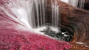 Upė Cano Cristales