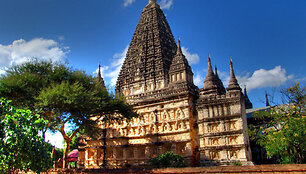 Mahabodhi &scaron;ventykla Indijoje