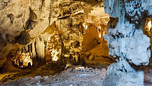 Grotte de Font-de-Gaume olos Prancūzijoje