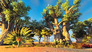 Madagaskaro ravenala dar vadinamas „keliautojų medžiu“ 