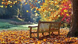Rudens peizažas