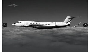 Jurijaus &Scaron;eflerio lėktuvas &bdquo;Gulfstream G650&ldquo;