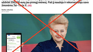 Lengvatikiams privilioti panaudota kandenciją baigusios prezidentės Dalios Grybauskaitės nuotrauka