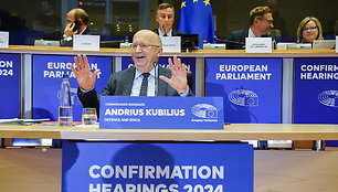 Andriaus Kubiliaus klausymai Europos Parlamente