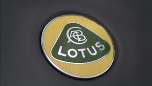 Lotus ženkliukas