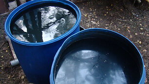 Naminukė