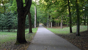 Dviratininkų rojus