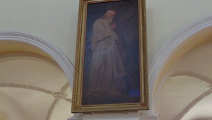 &Scaron;venčionys