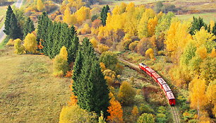 Anyk&scaron;čiai
