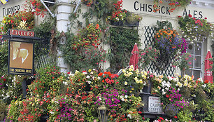 &bdquo;The Churchill Arms&ldquo; aludė vasarą