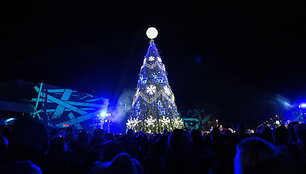 Kalėdų eglės įžiebimas Marijampolėje
