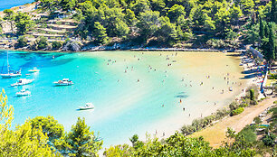 Auksinis ragas, Kroatija