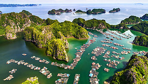 Halongo įlanka, Vietnamas