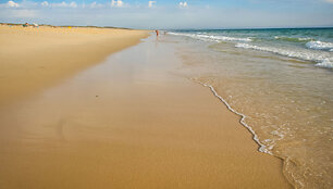 Comporta