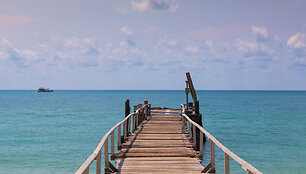 Comporta