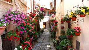 Spello