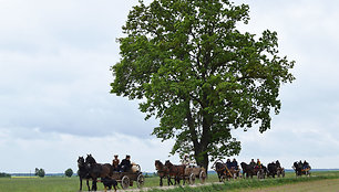 Žemaitukų žygis