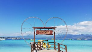 Gili saloje