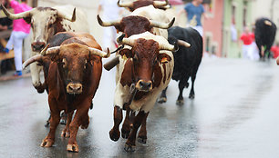 San Fermino festivalis, Ispanija