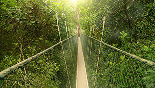 Taman Negaros nacionalinis parkas