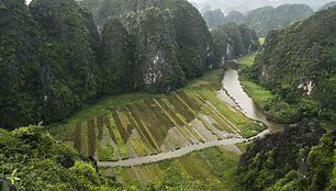 Nin Binio regionas Vietname