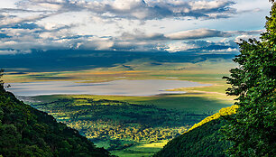 Ngorongoro draustinis