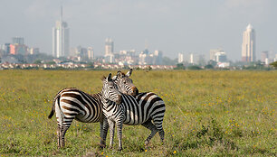 Nairobis, Kenija