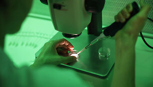 Laboratorijoje, kur apvaisinti kiau&scaron;inėliai