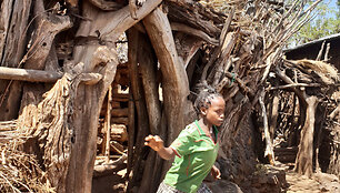 Konso gentis
