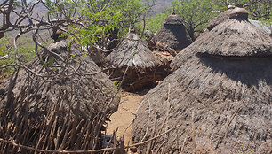 Konso gentis