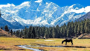 Nanga Parbat