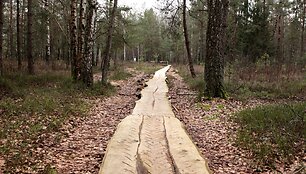 Velniabliūdžio gamtos takas