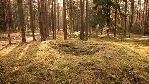 Grybi&scaron;kių ąžuolo pėsčiųjų mar&scaron;rutas
