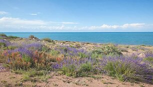 Isykul, Kirgizija