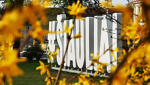 &Scaron;iauliai