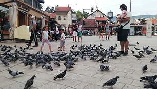Balandžiai Sarajeve