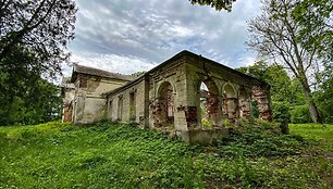 Tarnavos dvaro rūmai (Roki&scaron;kio r.)