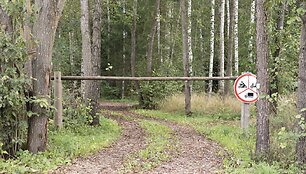 Paliesiaus dvaro pažintinis sveikatingumo takas
