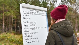 Pajūryje &ndash; tradicinės pauk&scaron;čių palydėtuvės