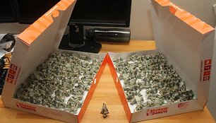 Banknotai-kiaulės spurgų dėžutėse