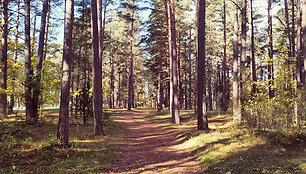 Ignalina