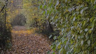 Skinderiškio dendrologinis parkas