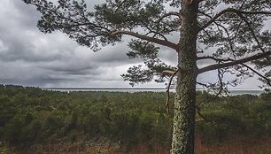 Kur&scaron;ių nerijos nacionalinis parkas