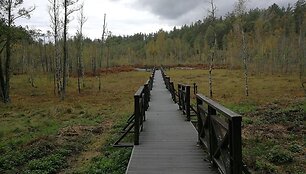 Pelkė